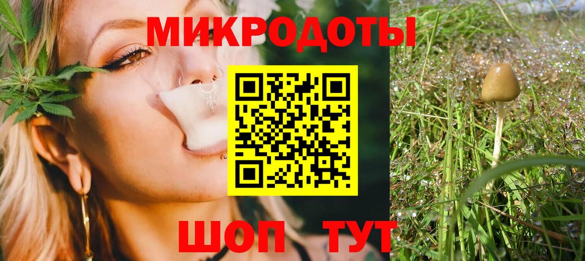 Волжск  Псилоцибиновые грибы Psilocybine cubensis  Вход с VPN 