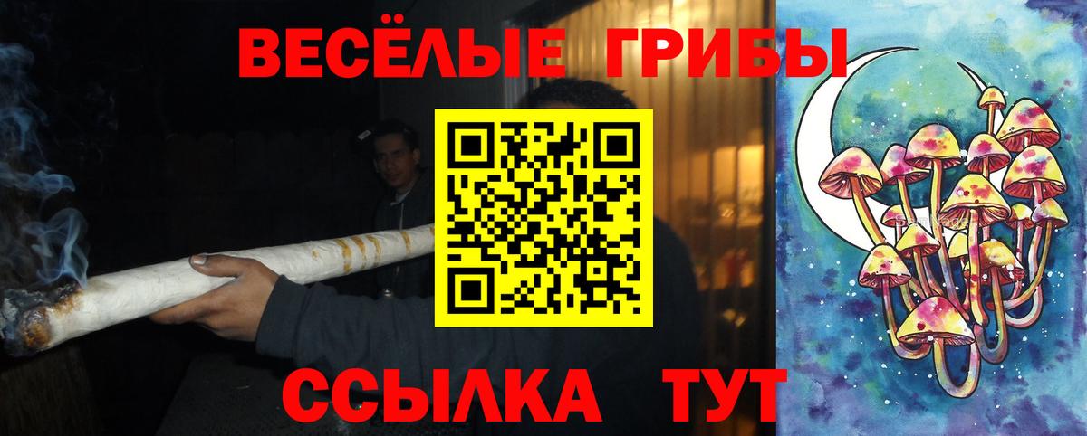 Галлюциногенные грибы мицелий Волжск